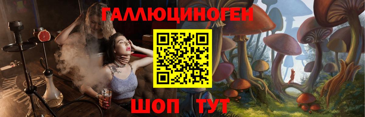 Псилоцибиновые грибы мицелий  Вход с VPN  Ленинск-Кузнецкий 