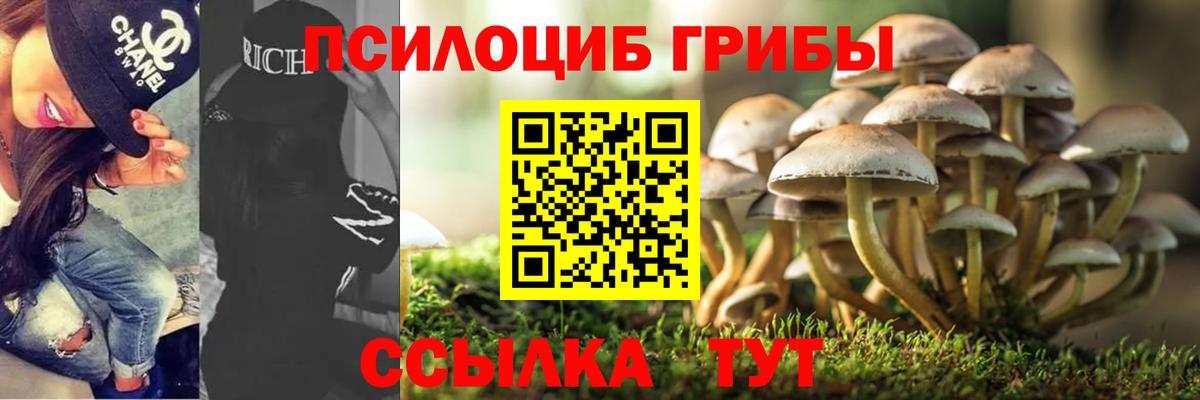Псилоцибиновые грибы ЛСД Ленинск-Кузнецкий